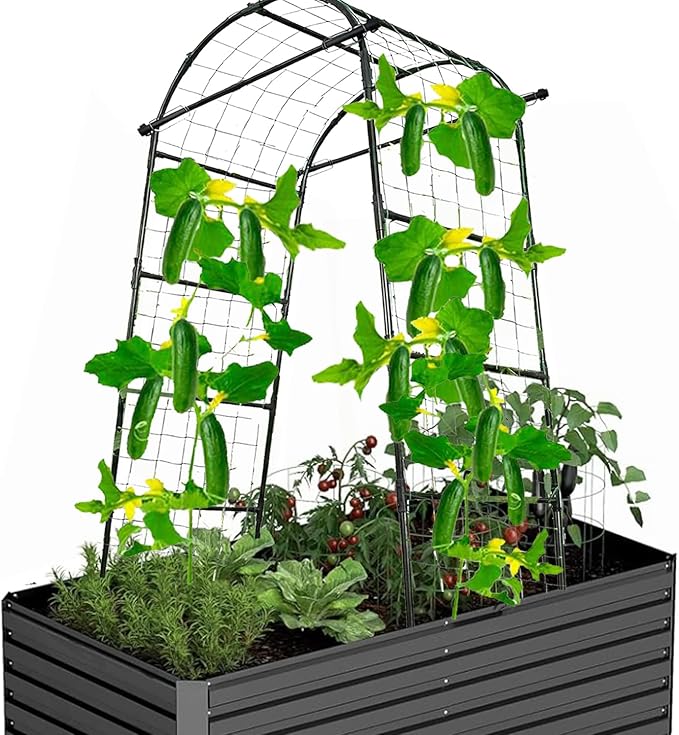 80 Inch Tall Garden Arch Trellis for Climbing Plants Outdoor Cucumber Trelli for Raised Bed Metal Trellis Support with Net for Vegetables Tomato Zucchini Squash Beans Peas Melons Rose FlowersVines