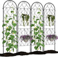 Garden Trellis for Climbing Plants74.8 x 21.6in Outdoor Climbing Rose Trellis2 Pack Decorative Clematis TrellisRustproof Metal Garden Flower Trellis for Patio Lawn Vines Flowers and Vegetables
