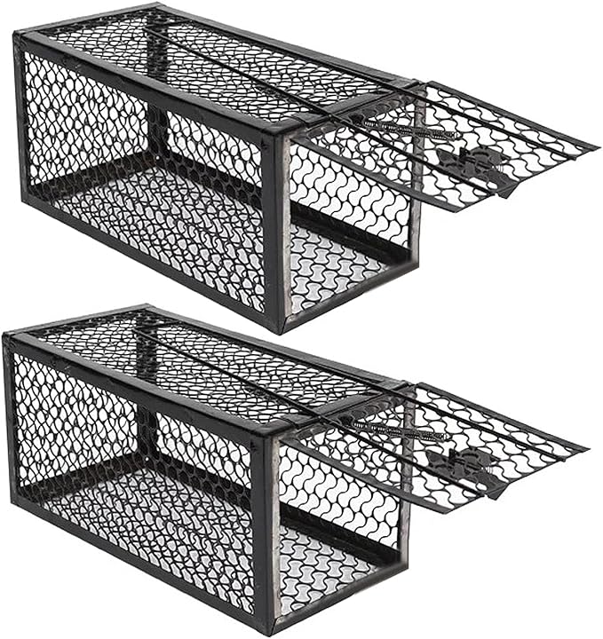 2 Pcs Humane Rat Traps BESUNTEK Metal Humane Live Animal Cage Trap Indoor Outdoor Catch and Release Mouse Trap for Squirrels and Small Rodents