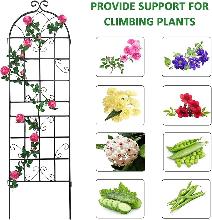 2 Pack Multi-Purpose Garden Trellis Netting Anti-Rust Country Style Outdoor Plant Trellis Support for Garden Decoration Black 71 x 19.7