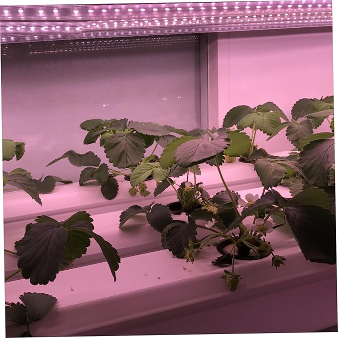 Solar Powered Grow Lights 16.4ft Plant Light Strip with Solar Panel Full Spectrum Grow Lights Heat Lamp for Outdoor Indoor Garden Greenhouse Supplies...