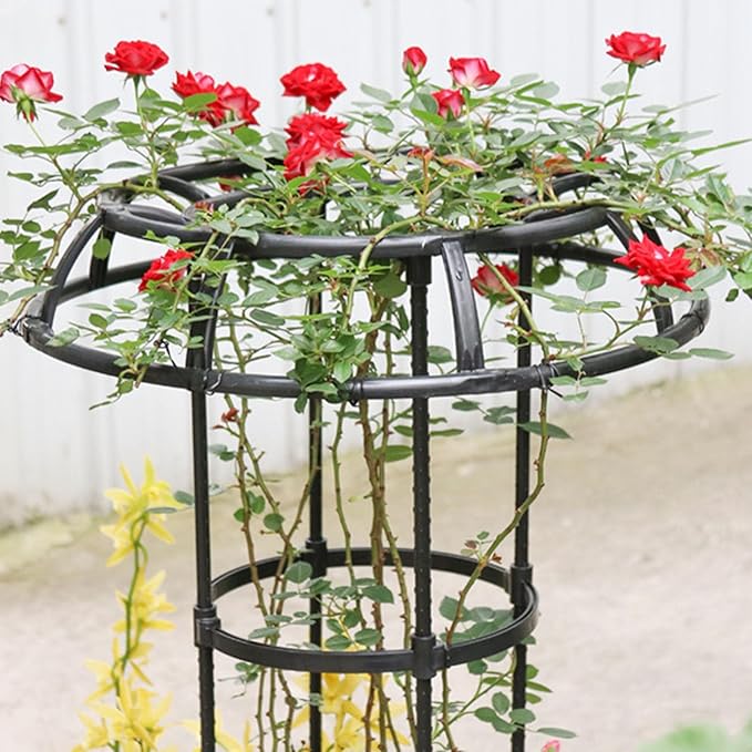 Garden Trellis for Climbing Plants Outdoor Mushroom Top Design Plant Stand Plant Trellis Support Cage for Climbing Vine Rose Clematis Indoor Potted Plants Black Black M