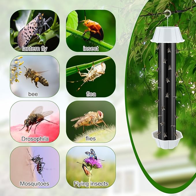 Qualirey Fly Traps for Indoor Outdoor Hanging Fruit Fly Stick Trap Sticky Mosquito for Home Insect 10 x 2.5 Inches(Black8 Pcs)