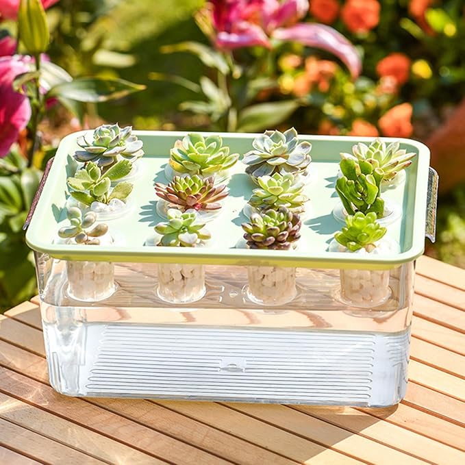 Modern Hydroponic Growing Setup Container Featuring Viewing Window for Home Vegetables Plant Progress Plant Growing Greenhouse Container