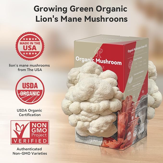 inbloom Organic Lion's Mane Mushroom Growing Kit with Spray Harvest Fresh Mushrooms at Home Beginner Friendly &amp Easy to Use Unique Gardening Gift for Holiday Handmade in New Jersey USA