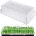 Apipi 10 Pcs 4'' High Durable Humidity Domes - Thickened 1020 Seed Starting Tray Covers with Adjustable Vents Greenhouse Plant Growing Lid Dome for Seedling Growth Well Water Retention