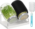 Pawfly Sprouting Kit Wide Mouth 1 Quart (1000 mL) Mason Jars Sprouting Jar Kit with Stainless Steel Mesh Sprouting Lids Sprouts Growing Kit Seed Sprouter for Broccoli Mung Bean &amp Alfalfa