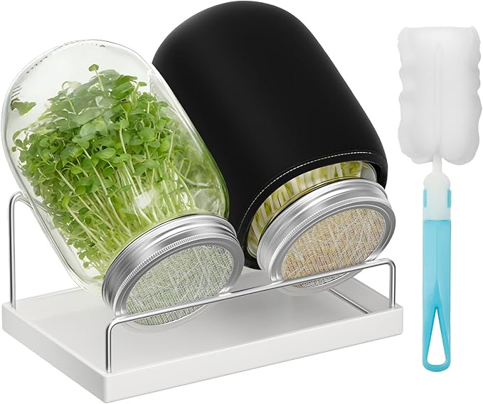 Pawfly Sprouting Kit Wide Mouth 1 Quart (1000 mL) Mason Jars Sprouting Jar Kit with Stainless Steel Mesh Sprouting Lids Sprouts Growing Kit Seed Sprouter for Broccoli Mung Bean &amp Alfalfa