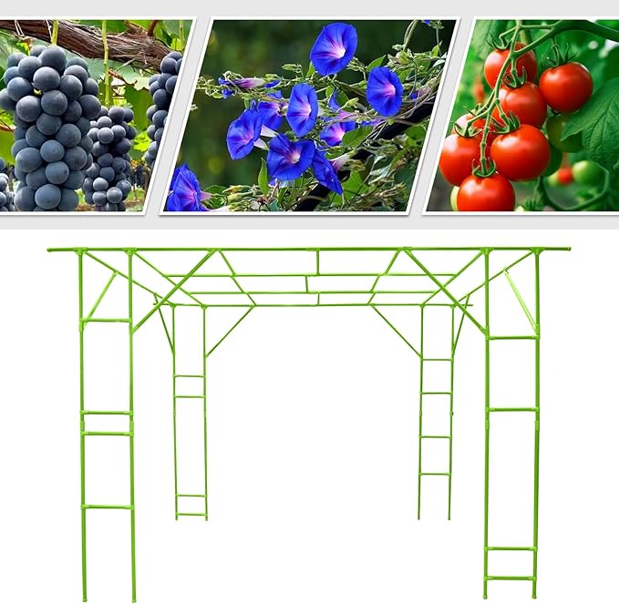 Plant Climbing Stand 9.8x6.6x7.5ft Large Outdoor Plant Trellis for Climbing Plants Heavy Duty Steel Garden Arch with Anti-Slip Feet for Tomatoes Cucumbers Flowers (Green)
