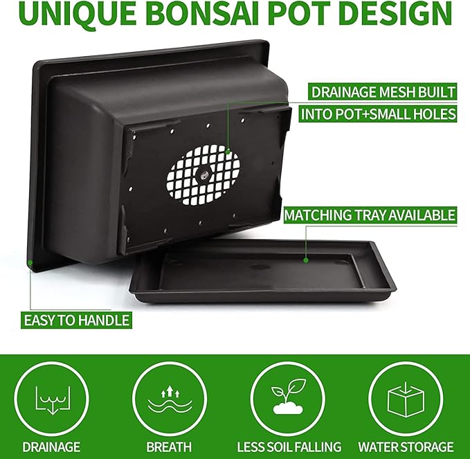 5 Bonsai Tree Kit Complete Plant Growing Tools Grow in Pot Indoor Bonsai Tree Starter Kit Great Home Gardening Potted Plants DIY Gift for Adults