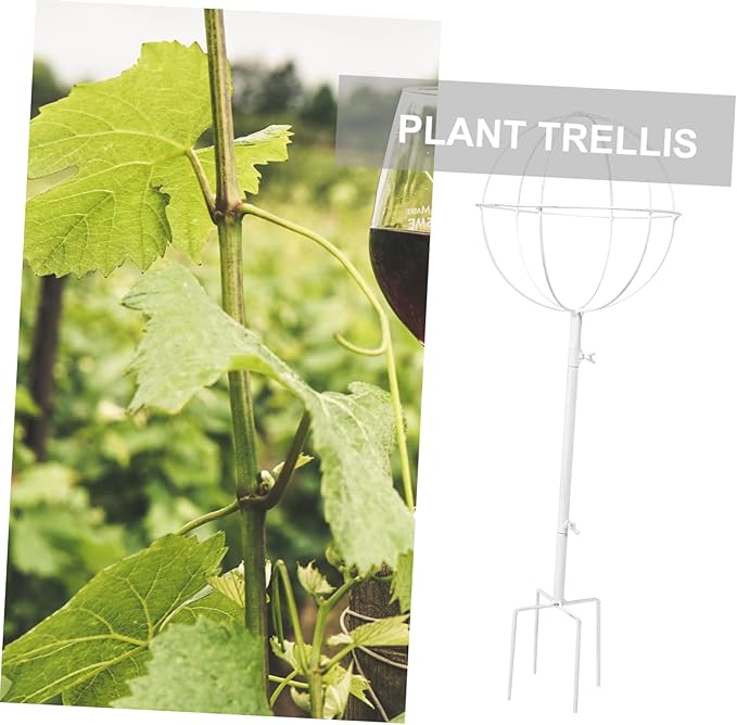 POPETPOP Iron Plant Support Bracket Planter Trellis for Vines and Roses Metal Trellis for Garden