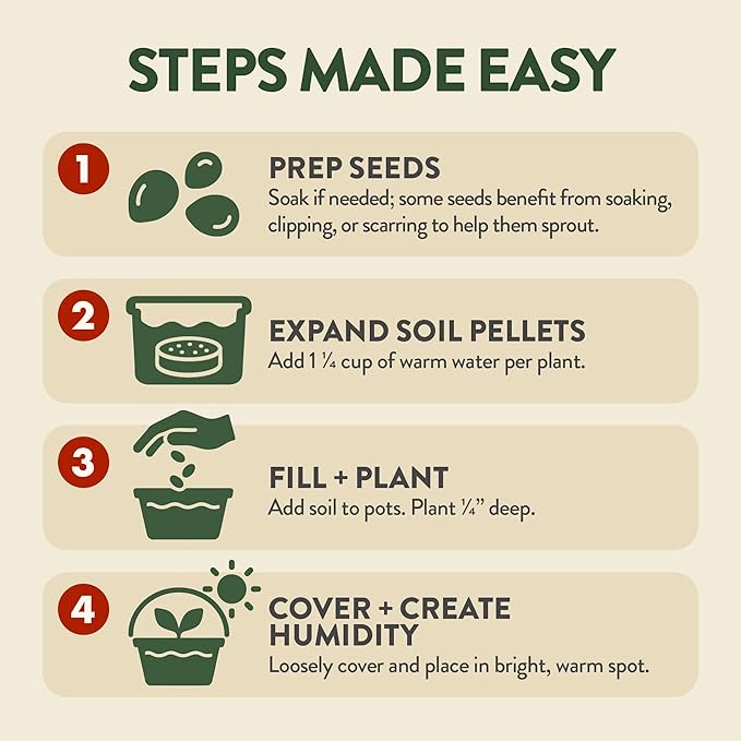 HOME GROWN Bonsai Tree Starter Kit – Unique Christmas Gift for Adults Men Women - Grow 4 Bonsais – DIY Crafts Hobby Gardening Kit for Plant Lovers Mom Dad - White Elephant Gifts for Adults