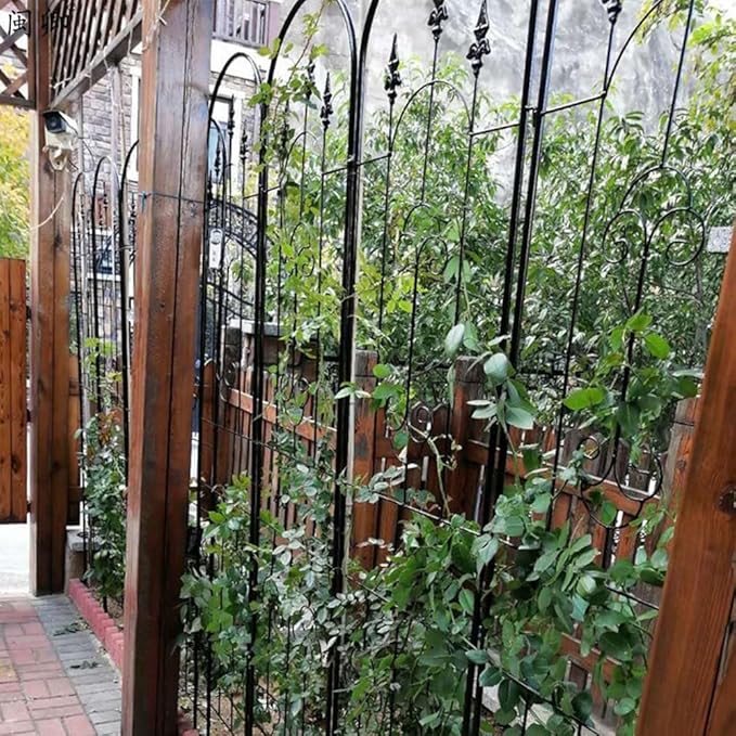 Garden Trellis Plant Trellis for Potted PlantsMetal Plant Support Structure for Outdoor Vegetables Fruits Flowers Vines(Color:BlackSize:150cm(59 inches))