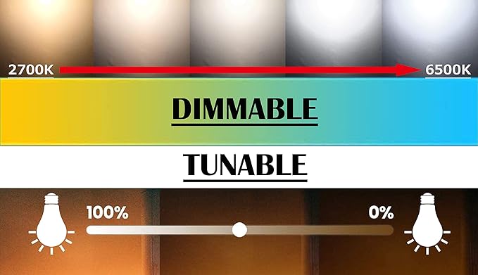 Dimmable High Accent Uplight 7W COB LED Stepless Dimming Adjustment Remote Control Little Spotlight with 5.9ft On/Off Foot Pedal Switch Cord Extra Light Rotating Decorative for Gallery