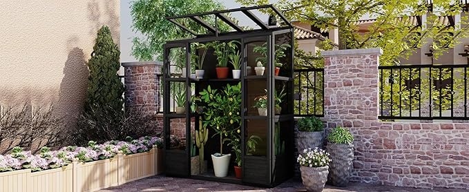 Walk-in Greenhouse for Outdoor 78 Inch Wooden Green House Cold Frame with 2 Doors 4 Openable Independent Skylights 2 Folding Middle Shelves Heavy Duty Plant Gardening Green House for Backyard Black