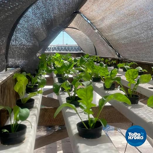 ToDo Hydro Macrobionic and Microbionic Solid Nutrient Solution Big Yields (Yield 160 gal)