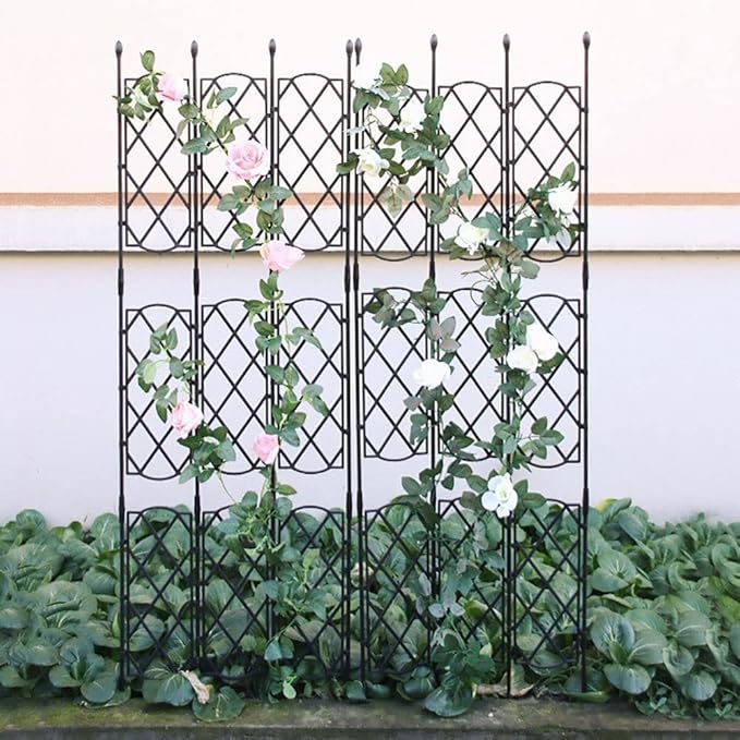 Black Garden Trellis for Climbing Plants35in53in Tall Plant Trellis Frame for Potted PlantsTall Plant Trellis Frame for Climbing Vines Flower Vegetable Rose Indoor Outdoor Trellis ( Size : 23.6in/6