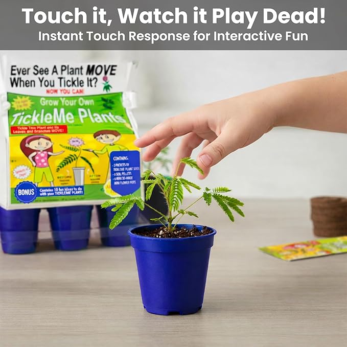 TickleMe Plant Deluxe Family Greenhouse Kit – Grow the Playful Plant that Closes Its Leaves When Tickled! Includes Mini Greenhouse 3 Seed Packets Soil Pellets &amp Pots – Fun Indoor Gardening Gift