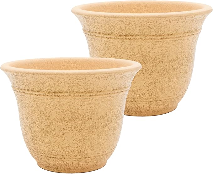 The HC Companies Sierra Round Self-Watering Pot - Lightweight Plastic Planter for Herbs &amp More - Durable Plant Pots for Indoor Plants &amp Outdoor Plants (13” Arizona Sand Pack of 2)