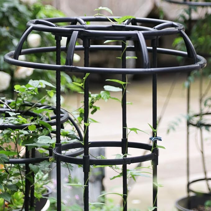 FLEXMAN Garden Trellis for Climbing Plants 50cm Diameter Climbing Vine Frame Round Garden Trellis Tomato Cages for Climbing Vines Rose Bushes Indoor Potted Plants Tomatoes (2 Layers)