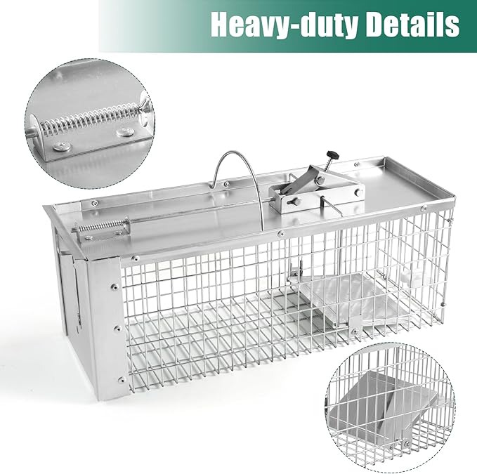 Live Animal Cage Trap Durable Humane Animal Trap for Squirrels Weasels Chipmunks and Small Animals Easy Catch &amp Release (1 Trap)