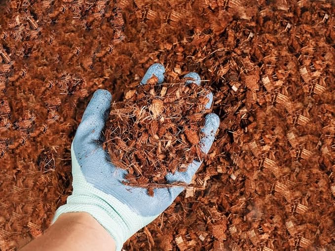 Coco Coir Husk Chips 4-Pack – 2.4 Cu. Ft. Compressed Coconut Coir Bricks 10 lb. Natural Substrate for Indoor &amp Outdoor Use Orchid Bark Alternative Orchid Potting Mix Indoor Plant Soil