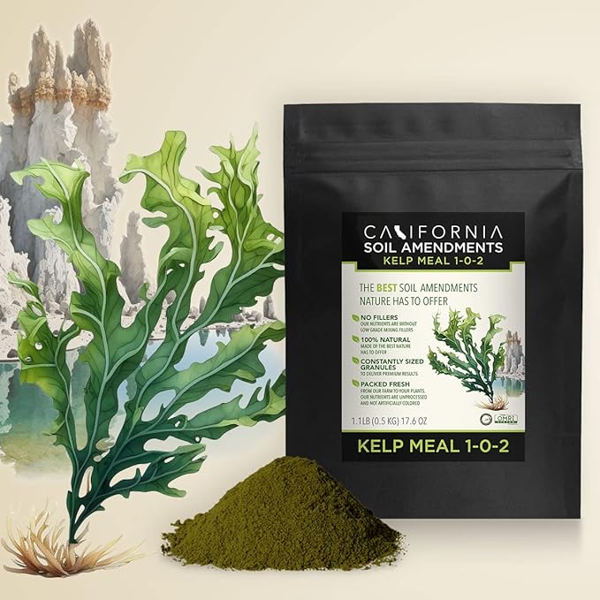 The Bud Grower | California Hot Soil Premium Kelp Meal | 6 lbs of Fine Powder 100% Organic Kelp Meal | All-in-One Grow Tent Kit's &amp Supplies