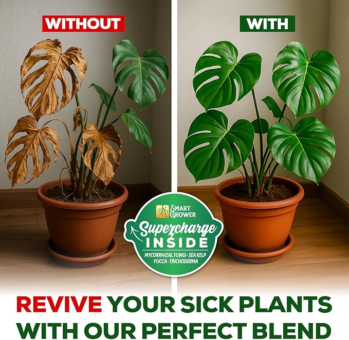 Organic Potting Soil for Indoor Plants. Boost House Plant Growth for Monstera Fiddle Leaf Money Tree Pothos Snake Plant Aroid Flowers Herbs Veggies &amp More Smart Grower 3 LB Ready to Plan