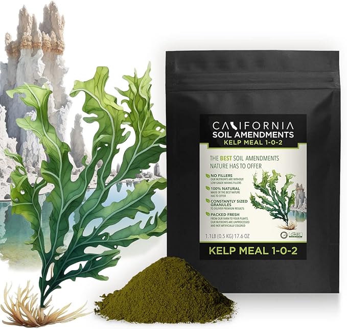 The Bud Grower | California Hot Soil Premium Soil Amendment Bundle | (x5) 6 lbs of Fine Powder 100% Bat Guano Bone Meal Blood Meal Kelp Meal &amp Oyster Shell Flour |Grow Tent Kit's &amp Supplies