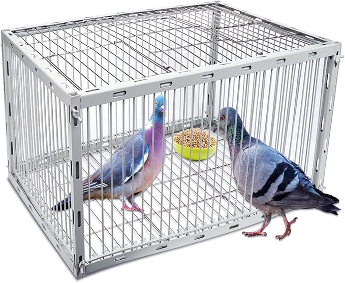 Pigeon Trap Cage with Escape-Proof Design – Auto Bird Trap Cage for Pigeons and Small Birds | Multi-Catch Pigeons Birds Traps for Sale with Well Anti-Rust Baking Paint-S Size