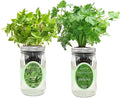 2-Pack Hydroponic Mason Jar Herb Garden Kit Indoor Herb Garden Self-Watering Starter Kit (Thai BasilParsley)
