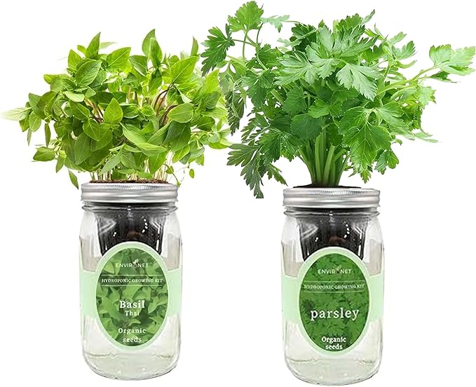 2-Pack Hydroponic Mason Jar Herb Garden Kit Indoor Herb Garden Self-Watering Starter Kit (Thai BasilParsley)