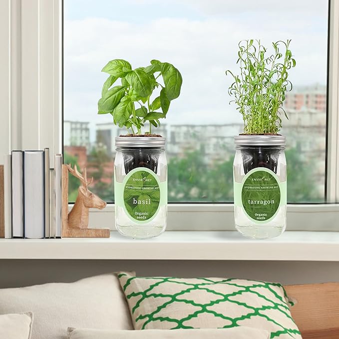 2-Pack Hydroponic Mason Jar Herb Garden Kit Indoor Herb Garden Self-Watering Starter Kit (BasilTarragon)
