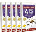J T Eaton 076706844002 Spider and Cricket Glue Trap (Pack of 5) White Box