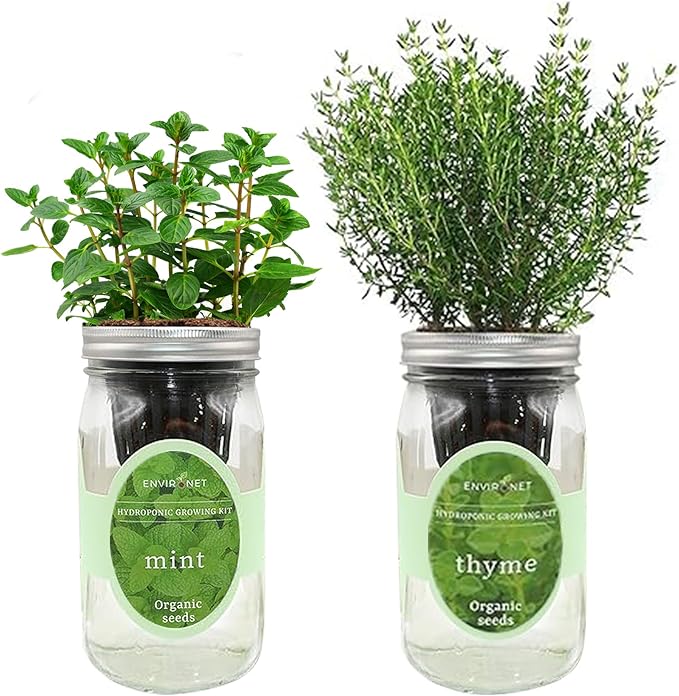 2-Pack Hydroponic Mason Jar Herb Garden Kit Indoor Herb Garden Self-Watering Starter Kit New Christmas Gift for Mom (MintThyme)