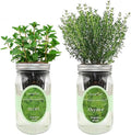 2-Pack Hydroponic Mason Jar Herb Garden Kit Indoor Herb Garden Self-Watering Starter Kit New Christmas Gift for Mom (MintThyme)