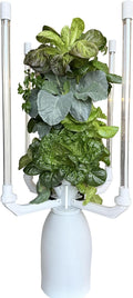 Hydroponic Tower Planter - Complete Plant Growing Starter Kit - Vertical Indoor System for Herb and Vegetable Gardening Microgreens and More - Includes Grow Light Setup Smart WiFi Control