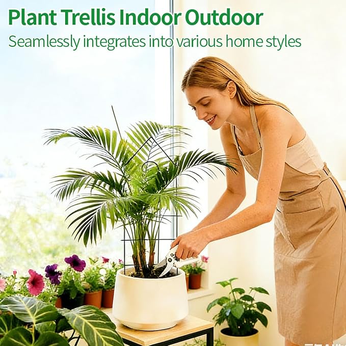 24 Plant Trellis 6 Pack Metal Garden Trellis for Potted Plants Indoor/Outdoor Rust-Proof Sturdy Steel Trellis for Climbing Plants Monstera Tomatoes Cucumbers