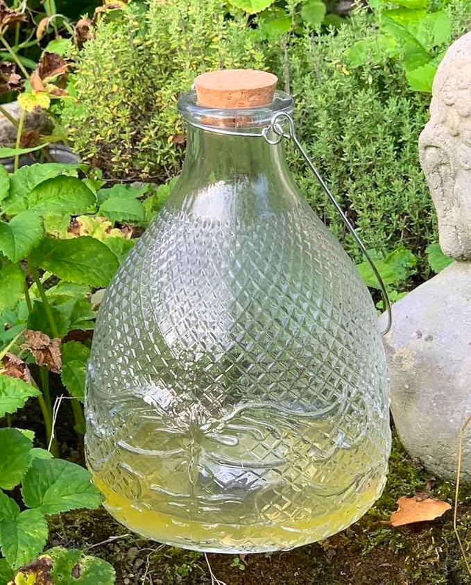 Esschert Design EG21 Wasp Trap Clear Hobnail Glass Large 8.75 H