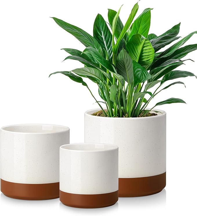 vancasso 6+8+10 Ceramic Pot for Plants Large Outdoor Indoor Planter Pots with Drainage Holes Set of 3 Khaki