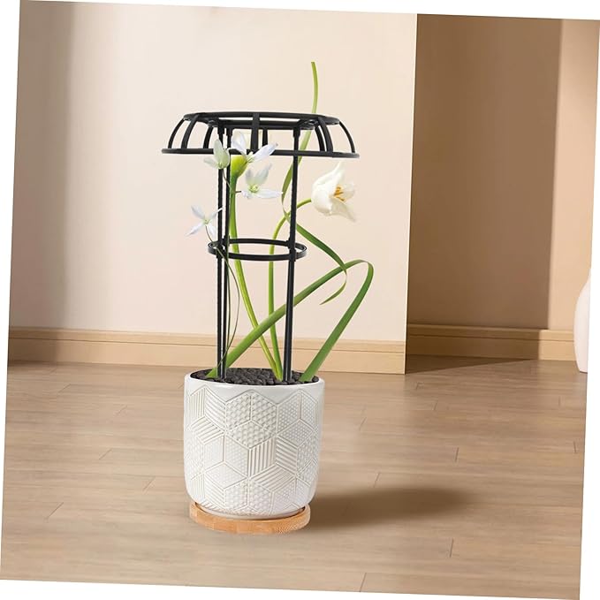 Metal Plant Trellis for Climbing Garden Trellis for Potted Plants Decorative Flower Support Rack Polished No-Burrs Steel Pp Material