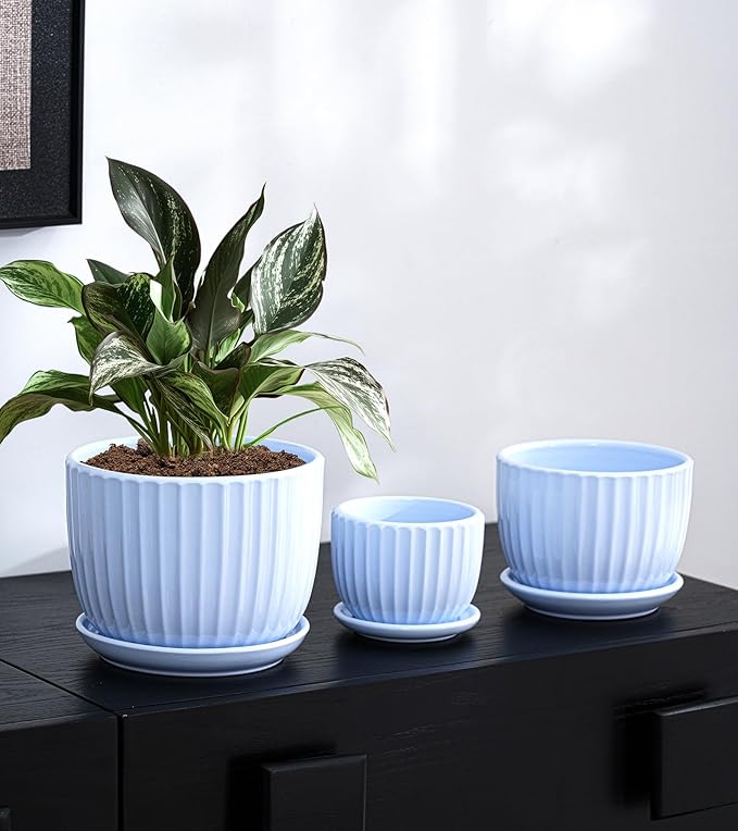 Ton Sin Sky Blue Ceramic Flower Pots 4+5+6 Inch Small Succulent Planters with Drainage HoleModern Indoor Decorative Plant Pots Set of 3Garden Pots with Saucer(Blue)