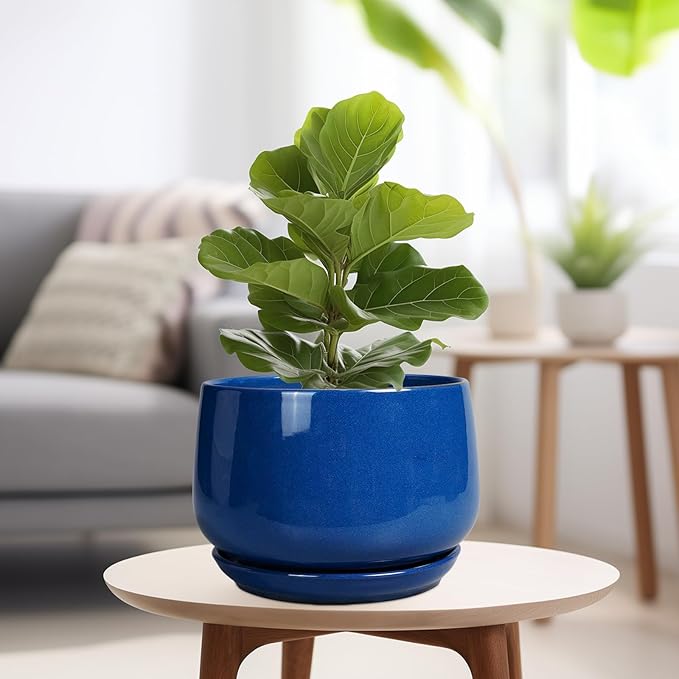 G EPGardening Ceramic Pots for Plants 9 Inch Modern Round Planter with Drainage and Tray Indoor Outdoor for Flower Patio Decor Housewarming Gifts Blue