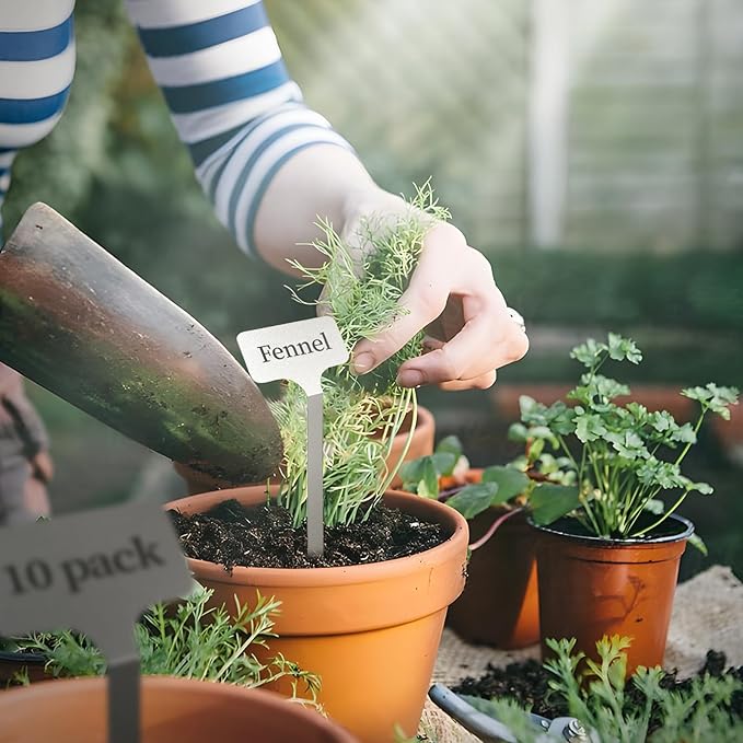Stainless Steel Plant Labels Metal Waterproof Plant MarkersHeight 12.75 in Label Area 2.5 in*1.25 in resuable Nursery Tags for Vegetables herb Flower Seed Green House- 20-Pack