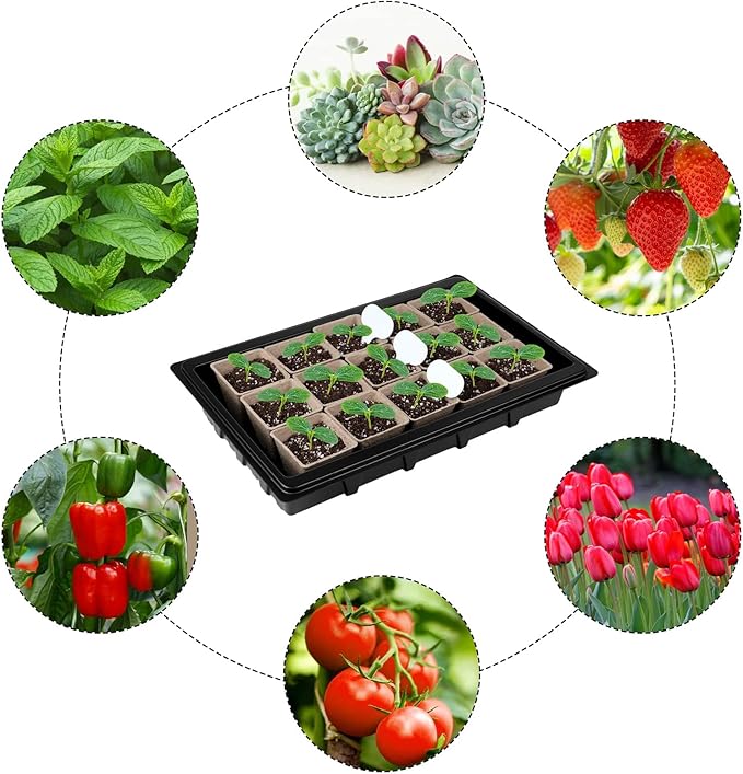 Aodaer 193 Pack Seed Starter Kit Including Seed Starter Tray Peat Pots for Seedlings with Plant Labels Tool Plastic Growing Trays Germination Tray Paper Seedling Cups for Indoor Outdoor Garden