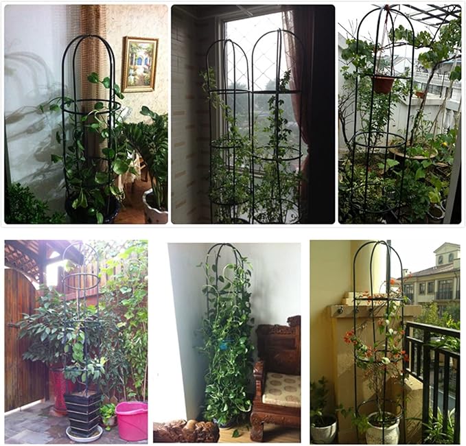 1.85M Tall Garden Trellis for Climbing Plants Garden Trellises Cenador Rustproof Metal Plant Climbing Support for Indoor Outdoor Flowers Vegetable Fruits Vines Support (Dark Green)