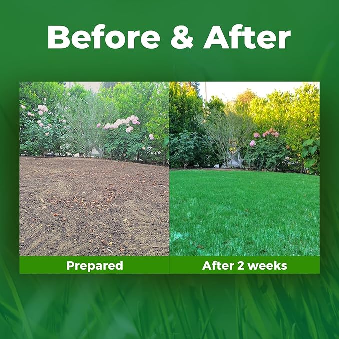 Growtrax Biodegradable Grass Seed Mat - 100 sqft Year Round Green - Grass Seed and for Lawns Dog Patches &amp Shade - Just Roll Water &amp Grow - No Fake or Artificial Grass