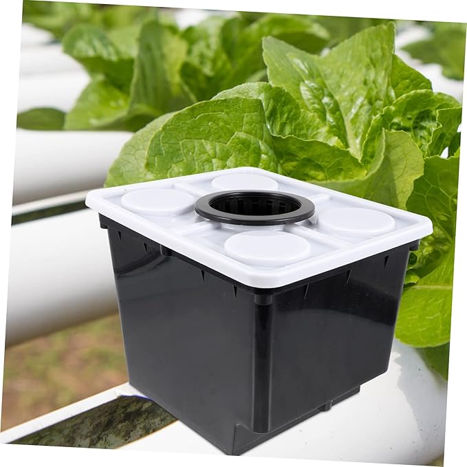 Soilless Hydroponics System Baskets for Indoor Plant Container and Gardening