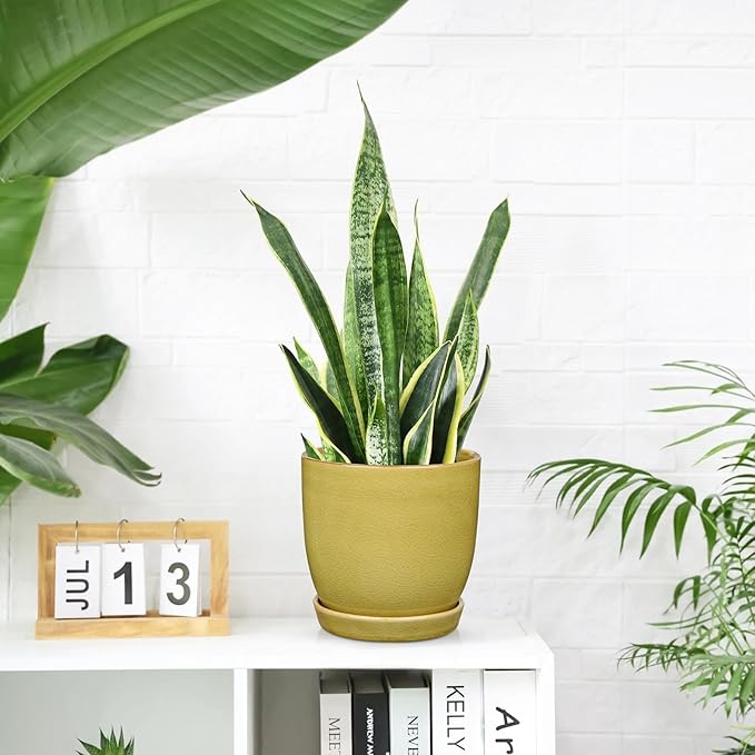Ceramic Plant Pots 5 Inch + 4 Inch Set of 2 Flower Plants Pot with Drainage Holes and Saucers Tray Planter Garden Pot for Succulent Cactus Home Decoration Gift Indoor Outdoor Green