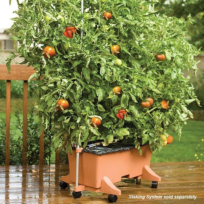 EarthBox 80105 Garden Kit Standard Terracotta